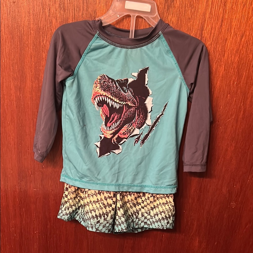 Dinosaur Swim Set - Teal and Gray